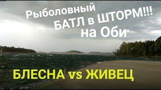 РЫБОЛОВНЫЙ БАТЛ в ШТОРМ!!! или ЩУКА на СПИННИНГ vs ЖИВЕЦ!