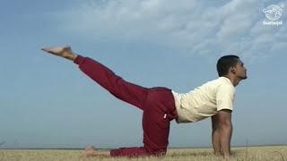 Simple Yoga Exercises for Spinal Health | Beginners Yoga Asanas for Back Pain Relief