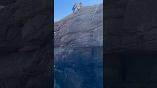 Thunder Hole @ Acadia National Park #acadia #adventure #ocean #shorts