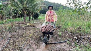 Mesmo em Tempo de chuva, a vida na roça não pode parar