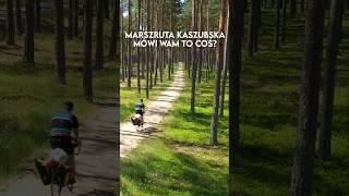 3 najlepsze trasy na KASZUBACH. Co za kraina! 