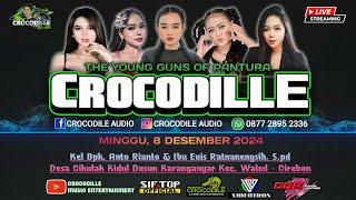 Live The Young Guns Of Pantura "CROCODILLE" Ds. Cikulak Kidul, Waled - Cirebon | 8 Desember 2024