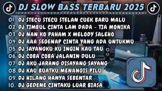 DJ SLOWBASS TERBARU 2025 || DJ STECU STECU STELAN CUEK BARU MALU || DJ TIMBUL CINTA LAM DADA MONIKA