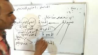 الماستر ،كيف أختار التخصص