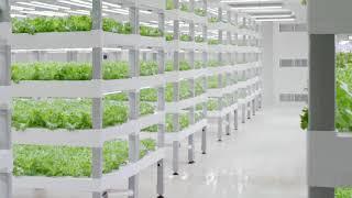 Ageon presenta Radix, la Vertical farm modulare