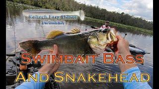 SWIMBAIT Snakehead and Bass: How to Use 'Em and GET 'EM!