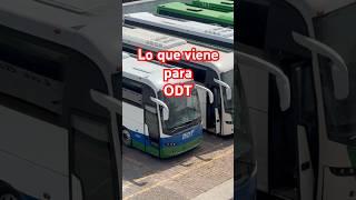 Ómnibus de Tizayuca estrena autobuses y cromática #autobus