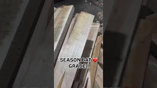 Testing Grade 1 Premium Cricket Bats - Is It Worth the Upgrade?