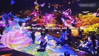 Graffiti Nature - Mountains and Valleys / グラフィティネイチャー - 山と谷