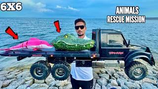 RC Water Animals Rescue Mission With Traxxas Ultimate Truck - Chatpat toy TV