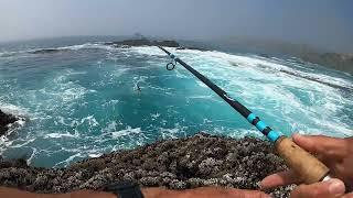 Fishing the deep blue sea from shore CATCH AND COOK!