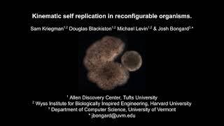 Kinematic self-replication in reconfigurable organisms (Movie S1)