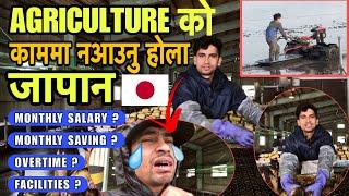 बुझेर मात्रै आउनु होला नत्र पछुताउनु पर्ला || SSW AGRICULTURE WORK IN JAPAN | ​⁠@sarojbasnet777