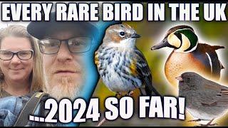 EVERY RARE BIRD IN THE UK, 2024 SO FAR!