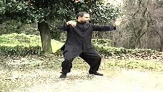 Wu  Short Form - Tai Chi Chuan