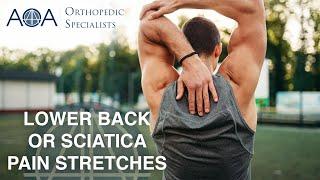 AOA Orthopedic Specialists - Lower Back and Sciatica Pain Stretches