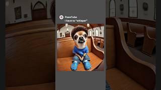 Chihuahua has to whisper in church  #memes
