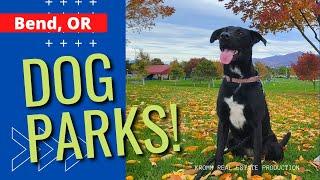 8 Off-leash Dog Parks in Bend, Oregon - Is Bend dog friendly?