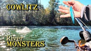 Part I- River Monster Fishing Cowlitz-Back Bouncing Herring-Cured Eggs- Spinners. Surprise Catch!