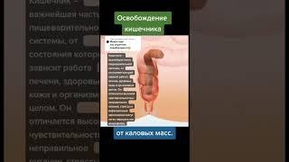Очищение кишечника