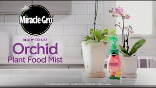 How to Use Miracle-Gro Orchid Mist