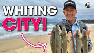 ULTRA-LIGHT Beach Fishing for WHITING! Epic Session 