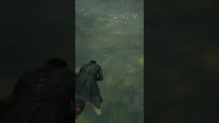 Hogwarts Legacy How To Tame THESTRAL
