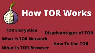 [PRACTICAL]What is TOR? How TOR Works? Tor Encryption? Advantages and Disadvantages. How To Use Tor?