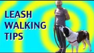 Loose Leash Walking Tips with dogs who are strong pullers