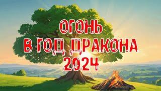 Элемент Личности Огонь Ян/Инь в год Деревянного Дракона 2024