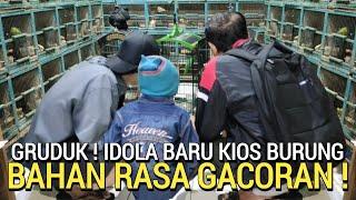 KETEMU LAGI ! KIOS BURUNG BEGINIAN SUDAH GACOR HARGA BAHAN DI PASAR BURUNG PRAMUKA HARI INI