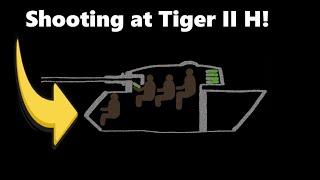 Shooting at Tiger II H in SST!