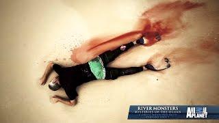 Animal Planet - River Monsters - Mysteries of the Ocean