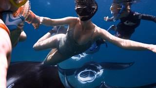 INCREDIBLE moments of ISLAND LIFE - Our Family Swim with Manta Rays