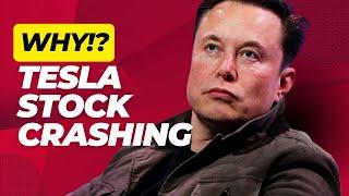 Top Finance Expert Reveals Why Tesla Stock is Falling