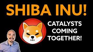 SHIBA INU CATALYSTS COMING TOGETHER! SHIBA INU ARMY!