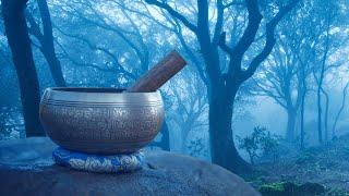 Black Screen Rain in Woods + Tibetan Bowls | Relax, Study or Sleep with White Noise Music