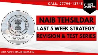 STRATEGY OF NAIB TEHSILDAR