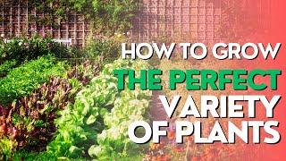 TIPS ON HOW TO GROW THE PERFECT VARIETY OF PLANTS FOR YOUR GARDEN