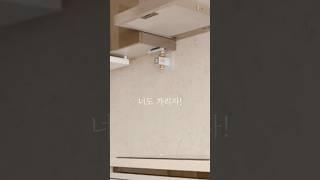 인덕션사용하면 필요가 없는 가스밸브! 가리기