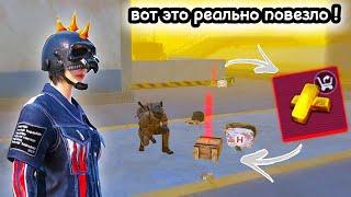 ЭТИ ДВОЕ ТОЧНО ТАКОГО НЕ ОЖИДАЛИ ОТ ШТУРМА | METRO ROYALE