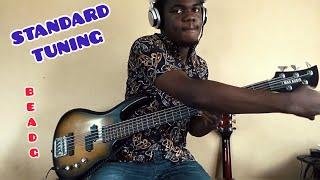 Tuning the BASS guitar - BEGINNERS BASS COURSE (harmonics)