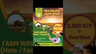 Farm Workers work permit New Zealand #newzealandvisa #newzealandworkpermit #farmworkers #job2023