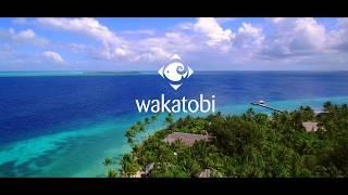 Wakatobi Dive Resort