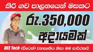 කිරිගව පාලනයෙන් මාසයකට රුපියල් 350,000ක් උපයන හැටි