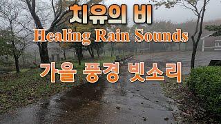 Fall Into A Deep Sleep With The Sound Of Rain For Sleep  Rain Sound For Insomnia Treatment