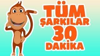 Kukuli - Tüm Çocuk Şarkıları | Tinky Minky ile 30 Dakika Çizgi Film & Bebek Şarkıları #çizgifilm