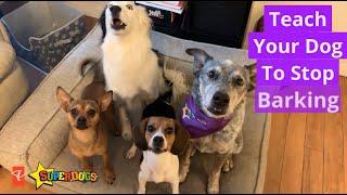 SuperDogs | Teach Your Dog to Stop Barking | Dog Training