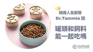 【Dr. Tammie說】罐頭和飼料可以一起吃嗎？