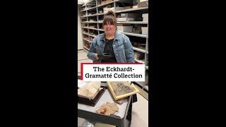 An Introduction to the Eckhardt-Gramatté Collection